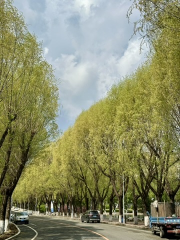 春日行路